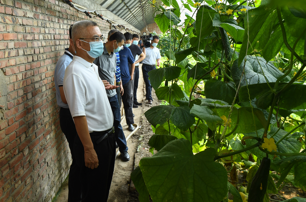 香港免费公开资料大全